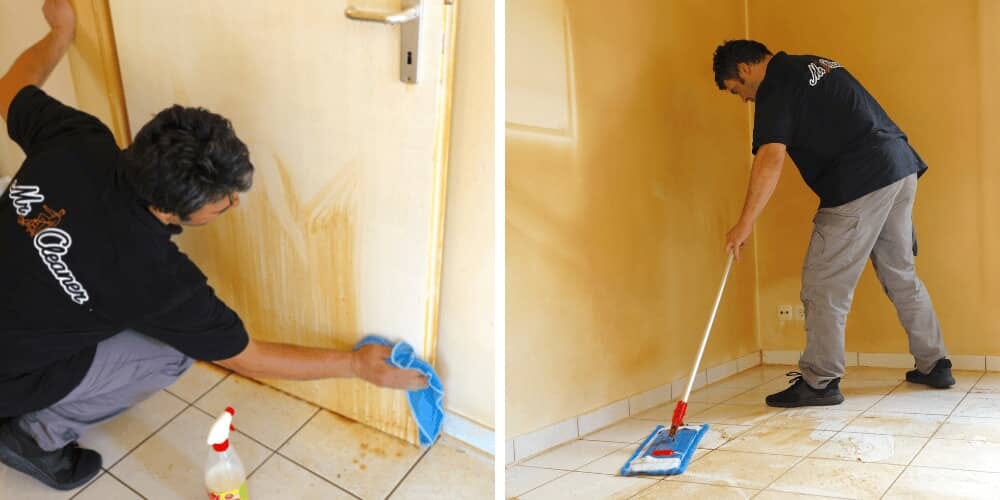 Professional Cleaning Service in Zurich Mr. Cleaner